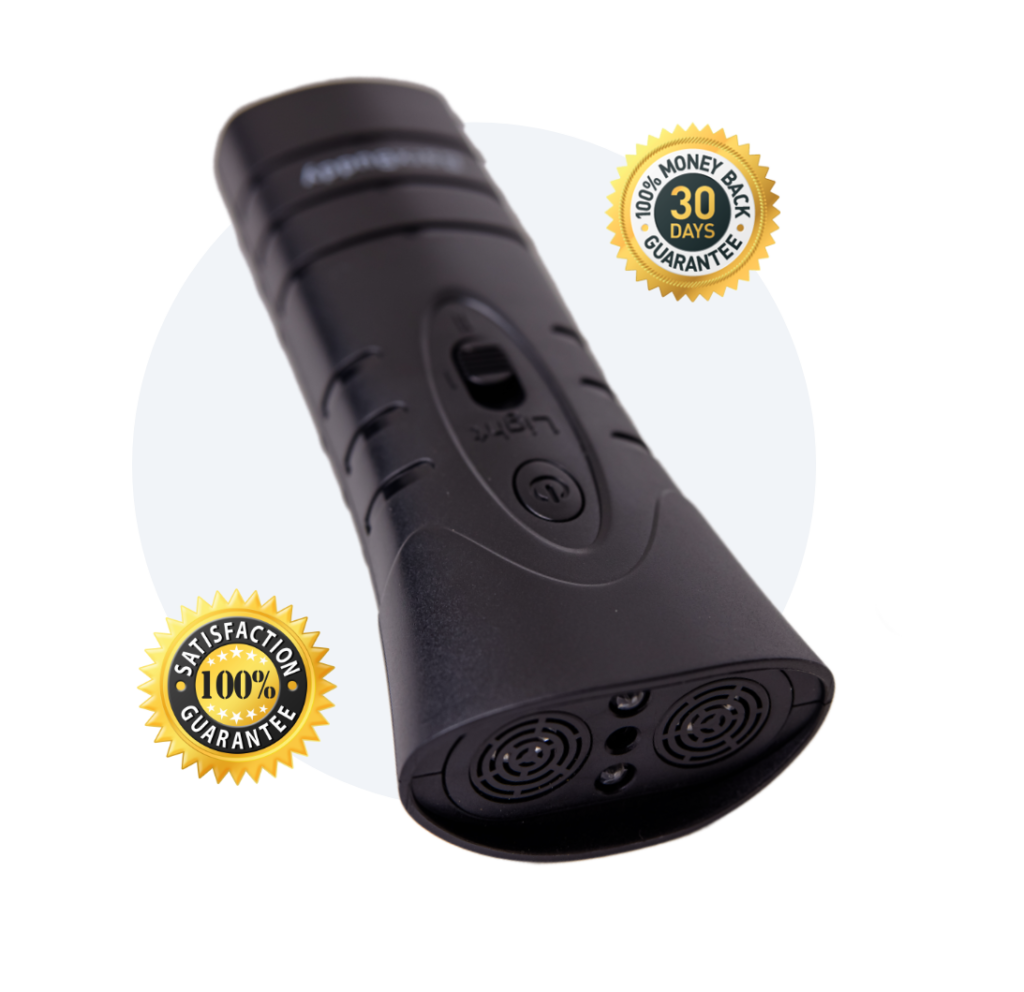 BarxBuddy review